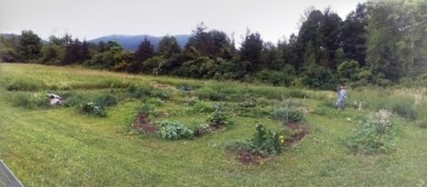 Building Soil with Small-Scale Hugelkultur Beds Image
